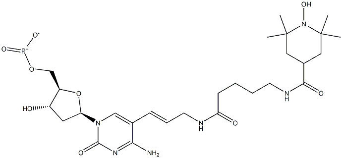 5-(3-(5-(2,2,6,6-tetramethyl-1-oxypiperidine-4-carboxamido)pentanamido)prop-1-enyl)-2'-deoxycytidine 5'-triphosphate Structure