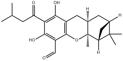 euglobal G2 Structure