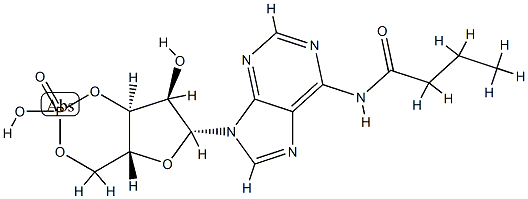 monobutyryl cyclic AMP Structure