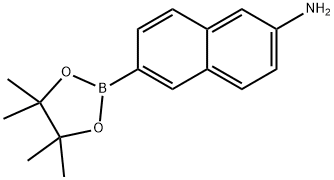 6-(4,4,5,5-tetramethyl-1,3,2-dioxaborolan-2-yl)naphthalen-2-amine（WS204491） Structure