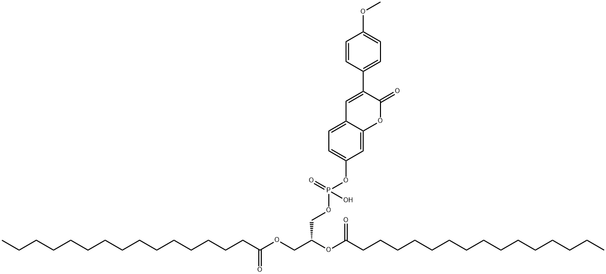 1,2-디팔미토일-알파-포스파티딜-3-(4-메톡시페닐)움벨리페론 구조식 이미지