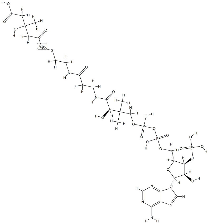 3-hydroxy-3-methylglutaryldithio-coenzyme A Structure