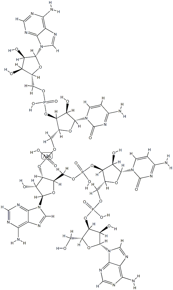 Wnt-3A단백질 구조식 이미지