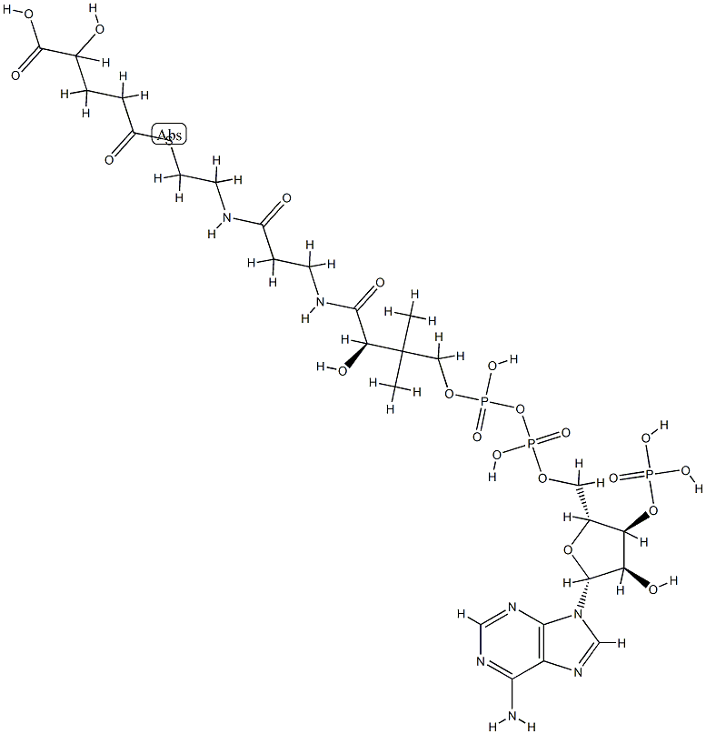 2-hydroxyglutaryl-5-coenzyme A Structure