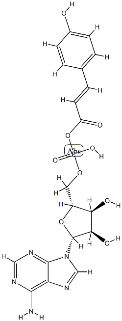 Magnesium, bromo-1,3-pentadiynyl- Structure