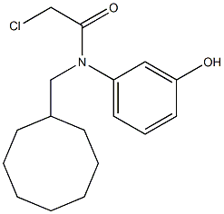 2-chloro-N-(cyclooctylmethyl)-N-(3-hydroxyphenyl)acetamide Structure