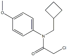 2-chloro-N-(cyclobutylmethyl)-N-(4-methoxyphenyl)acetamide Structure