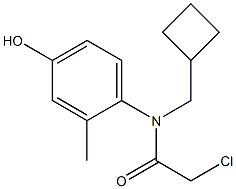 2-chloro-N-(cyclobutylmethyl)-N-(4-hydroxy-2-methylphenyl)acetamide Structure