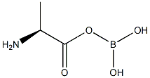 L-알라닌,붕산(H3BO3)을포함한일무수물(9CI) 구조식 이미지