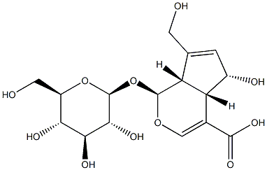 (1S,4aS,5S,7aS)-1-(b-D-Glucopyranosyloxy)-1,4a,5,7a-tetrahydro-5-hydroxy-7-(hydroxymethyl)cyclopenta[c]pyran-4-carboxylic acid Structure