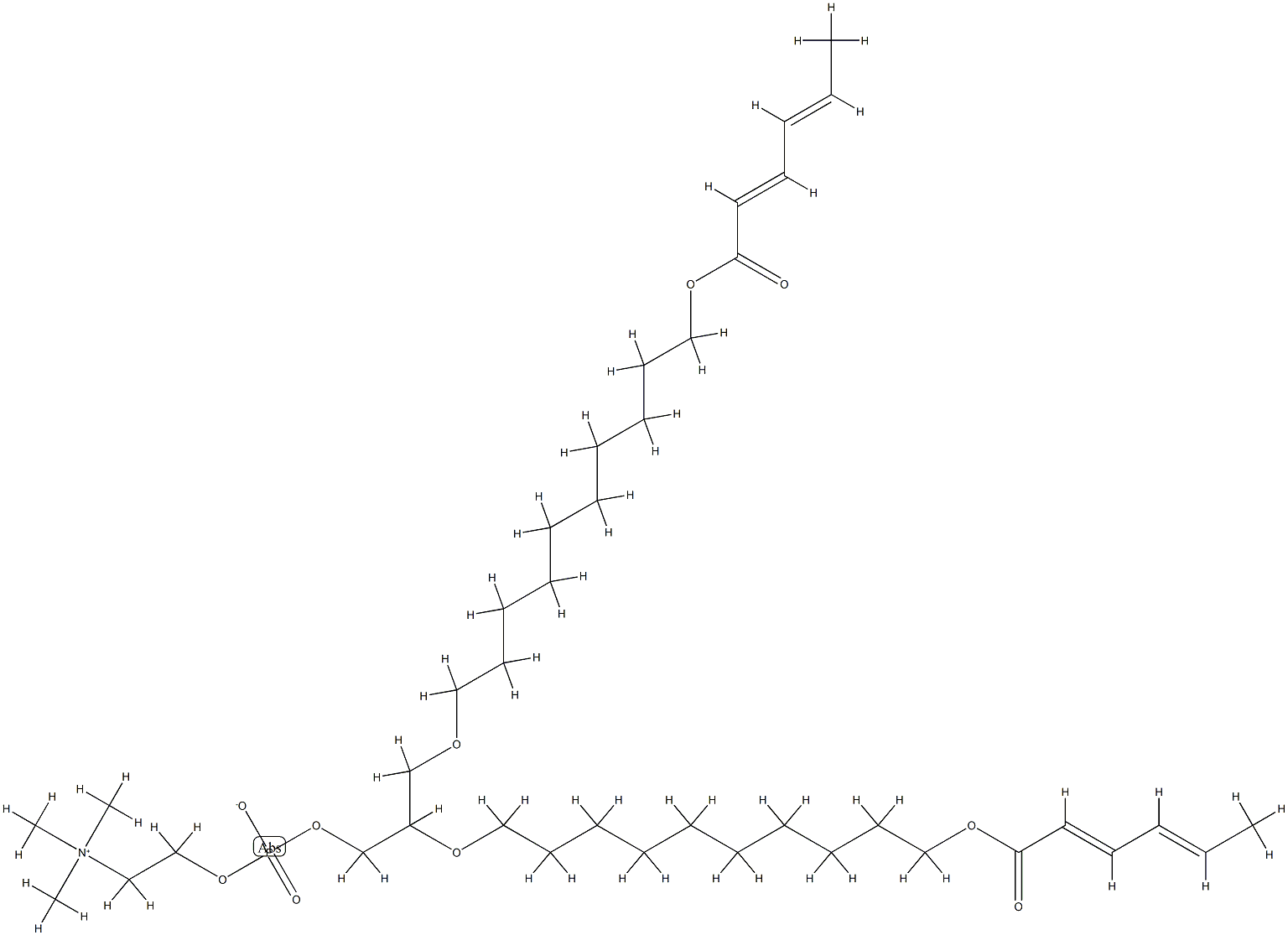 1,2-bis(10-(2',4'-hexadienoyloxy)decyl)glycero-3-phosphocholine Structure