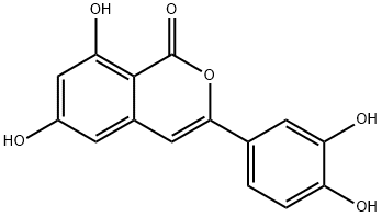 thunberginol B Structure