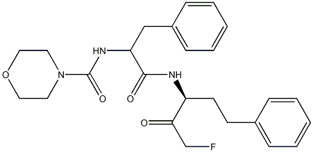 P 34081 Structure