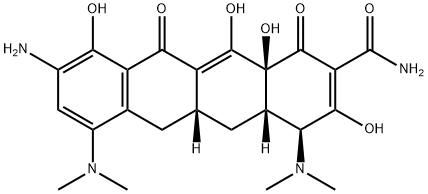 Tigecycline Metabolite M6 (9-AniMoMinocycline) Structure