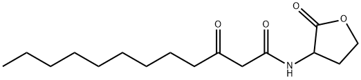 Pseudomonas aeruginosa autoinducer Structure