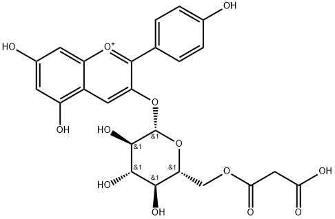 pelargonidin 3-O-(6-O-malonyl-beta-D-glucoside) 구조식 이미지