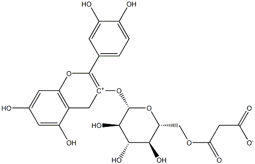 Cyanidin 3-(6”-malonylglucoside) 구조식 이미지