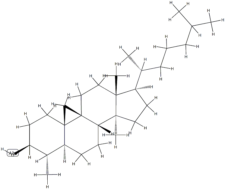 29-Nor-9β,19-사이클로라노스탄-3β-올 구조식 이미지