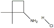 Cyclobutanamine, 2,2-dimethyl-, hydrochloride (1:1) 구조식 이미지