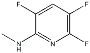 2-피리딘아민,3,5,6-트리플루오로-N-메틸-(9Cl) 구조식 이미지