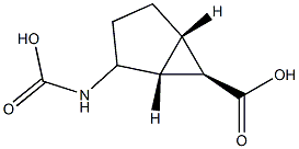 Bicyclo[3.1.0]hexane-6-carboxylic acid, 2-(carboxyamino)-, (1R,5S,6R)-rel-[partial]- (9CI) Structure