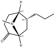 8-Azabicyclo[3.2.1]octan-2-one,8-methyl-6-propyl-,(1R,5R,6R)-rel-(9CI) 구조식 이미지
