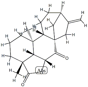 6α-하이드록시-7-옥소카우라-16-엔-18-오산락톤 구조식 이미지