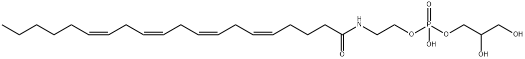 글리세로포스포-N-아라키도노일에탄올아민 구조식 이미지