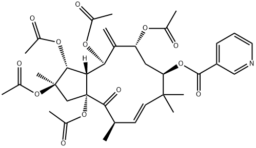 Jatrophane 1 Structure
