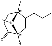 8-Azabicyclo[3.2.1]octan-2-one,8-methyl-6-propyl-,(1R,5R)-rel-(9CI) 구조식 이미지