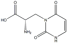 isowillardiine Structure