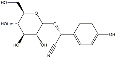 taxiphyllin Structure