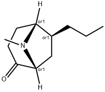 8-Azabicyclo[3.2.1]octan-2-one,8-methyl-6-propyl-,(1R,5R,6S)-rel-(9CI) 구조식 이미지