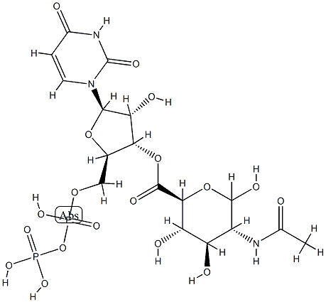 UDP-N-아세틸글루코사미누론산 구조식 이미지