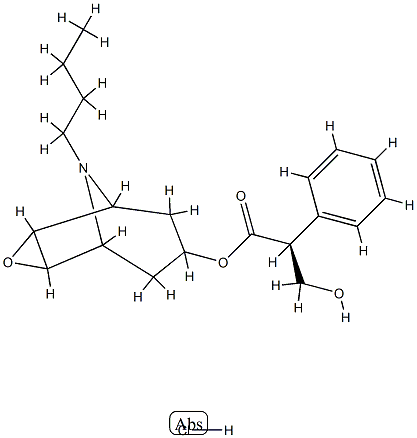 N-Butyl Nor ScopolaMine Hydrochloride Structure