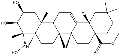 2β,3β,23-Trihydroxyolean-12-en-28-oicacid메틸에스테르 구조식 이미지