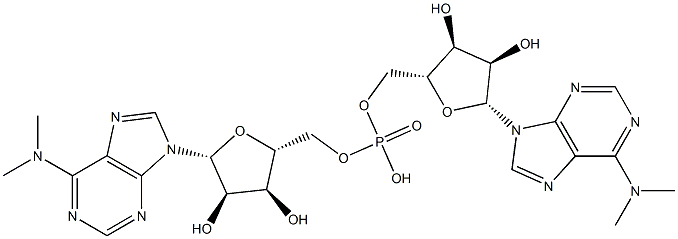 N(6),N(6)-dimethyladenylyl(3'-5')N(6),N(6)-dimethyladenosine 구조식 이미지