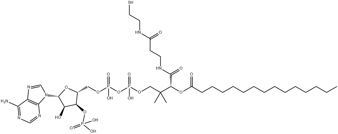 24870-39-1 pentadecanoyl Coenzyme A