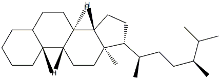 (10α)-Ergostane Structure