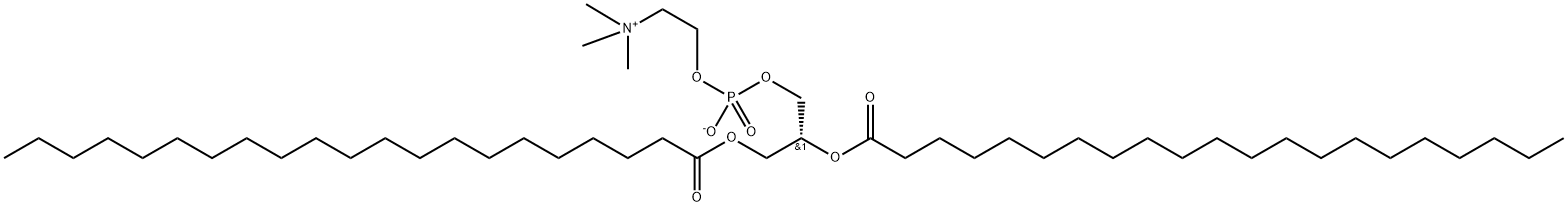 1,2-dihenarachidoyl-sn-glycero-3-phosphocholine Structure