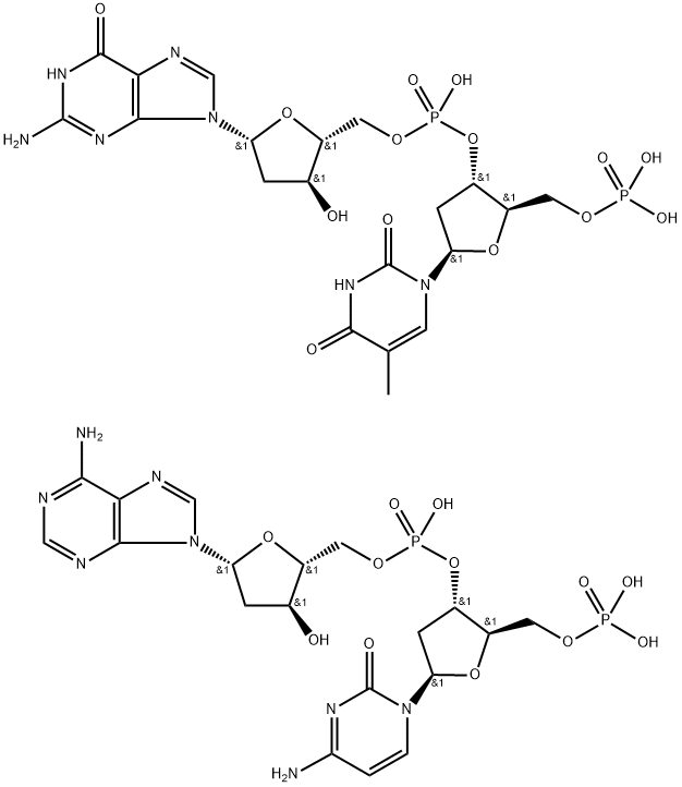 poly(dT-dG)n.poly(dC-dA)n Structure