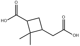 Pinic Acid (DiastereoMeric Mixture) 구조식 이미지