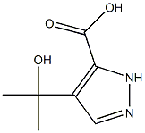 1H-Pyrazole-3-carboxylicacid,4-(1-hydroxy-1-methylethyl)-(9CI) Structure