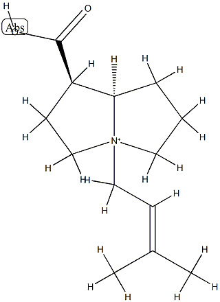 (1R,7aβ)-1α-Carboxylatohexahydro-4-(3-methyl-2-butenyl)-1H-pyrrolizin-4-ium Structure