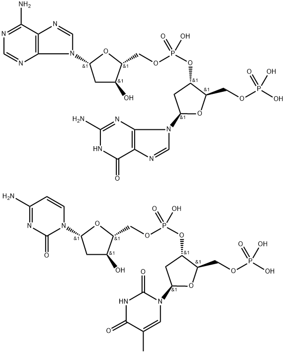 폴리(dG-dA)n.폴리(dC-dT)n 구조식 이미지