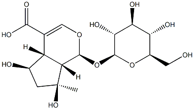 1α-(β-D-Glucopyranosyloxy)-1,4aα,5,6,7,7aα-hexahydro-5α,7α-dihydroxy-7-methylcyclopenta[c]pyran-4-carboxylic acid Structure