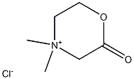 IPO 196 Structure