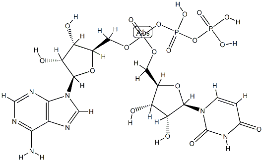 adenosine 5'-P(1)-triphosphate-P(3)-5'''-uridine Structure