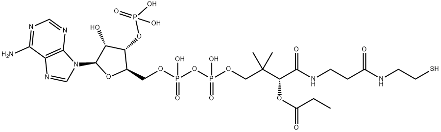 S-propionylcoenzyme A Structure