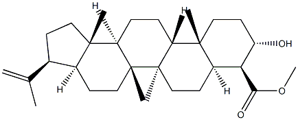 (4S)-3β-Hydroxy-A'-neogammacer-22(29)-en-23-oic acid 구조식 이미지